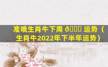 准哦生肖牛下周 🐘 运势（生肖牛2022年下半年运势）